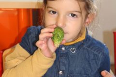 IMG_6398-scaled